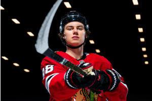 Techniques Used by Top NHL Players