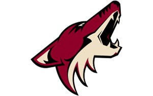 Minnesota Wild Mascot Logo NHL Hockey Nike Air Force Sneakers - Blinkenzo