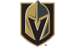 VGK Vegas Golden Knights Franklin Replica Mini Goalie Mask Helmet