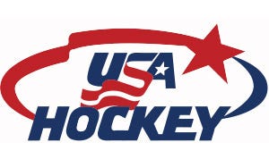 usa hockey jersey hoodie