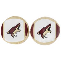 "Franklin Coyotes NHL Soft Sport Ball & Puck Set in Arizona"