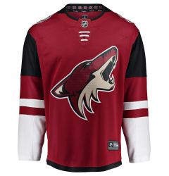 coyotes practice jersey