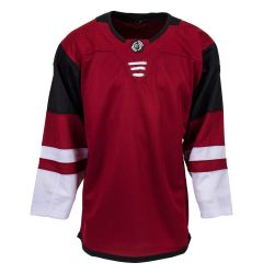Arizona Coyotes MonkeySports Uncrested Adult Hockey Jersey