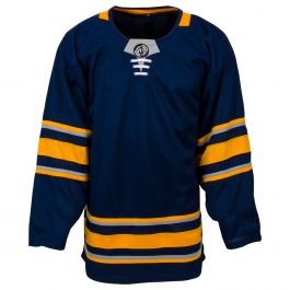 Sportsnet on X: The Buffalo Sabres are reportedly bringing these back as  an alternate jersey next season. 👀 Do you like the look?   / X