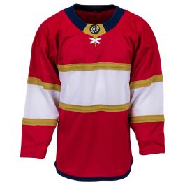 BOTT - PANTHER HOCKEY JERSEY – SOLAR MTP