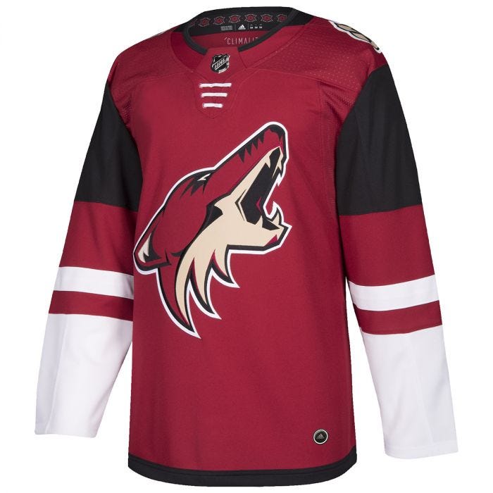 arizona hockey jersey