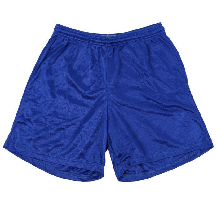 Blue Mesh Shorts