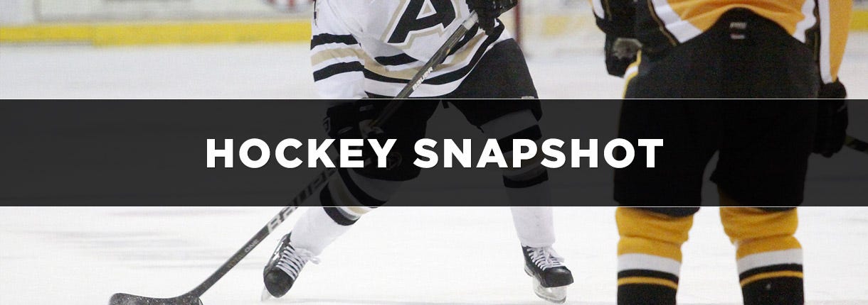 Snap shot hockey