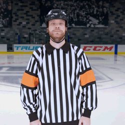 What is cross checking in Hockey? (What the Rules say)