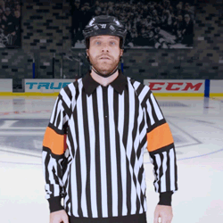 Spearing Hockey Penalty Signal